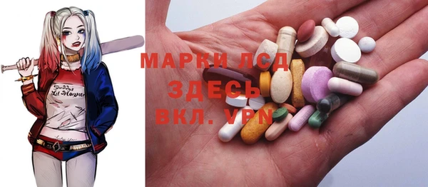 apvp Алзамай