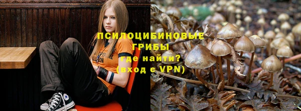 spice Алексин